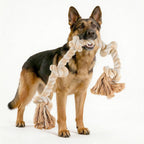 BMAG authentic imported heavy duty pet rope toy packaging layout.
