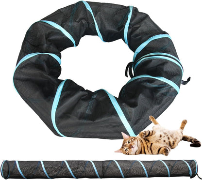 Multi cat household play tunnel playground setup in garden
