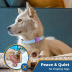 GoTags large size pet identification nameplate fitted on a one inch wide leather pet collar.