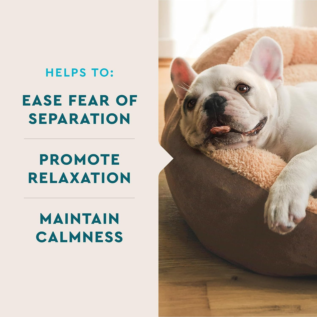 VetIQ dog calming chews pouch showing 60 count quantity