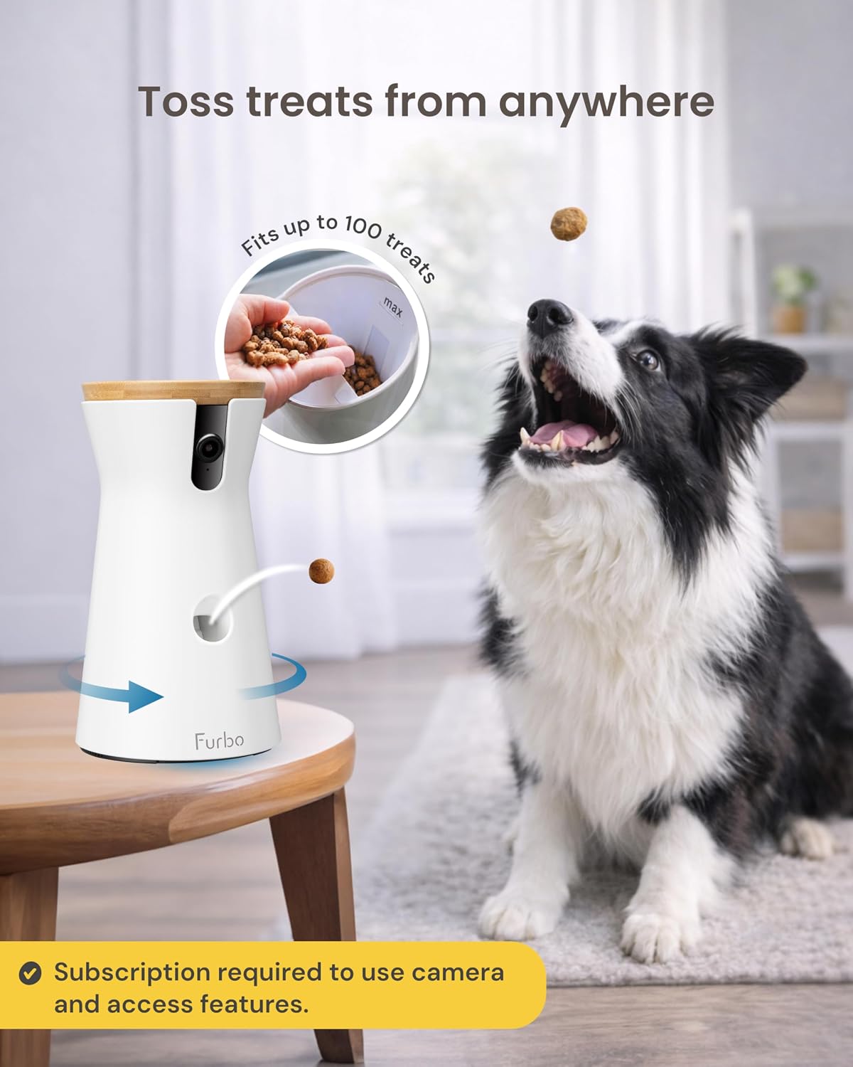 Color night vision clarity demonstration of the pet surveillance camera in the dark