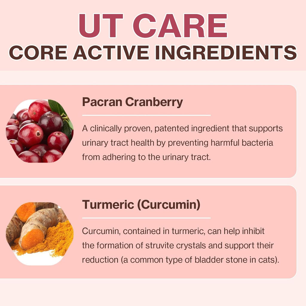 Doctor By UT Care salmon and tuna flavored kidney paste for cats