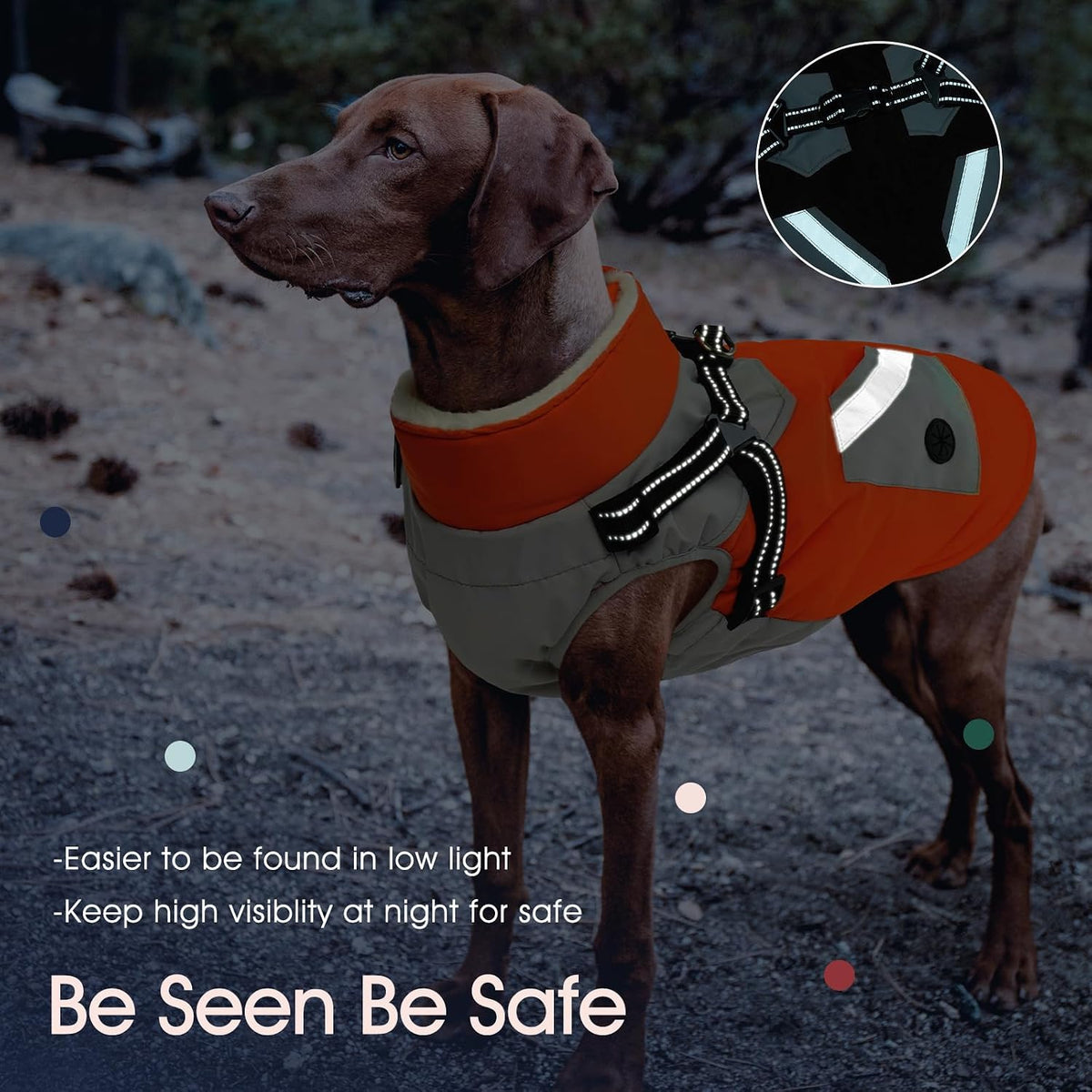Side profile of large dog wearing orange IECOii fleece coat