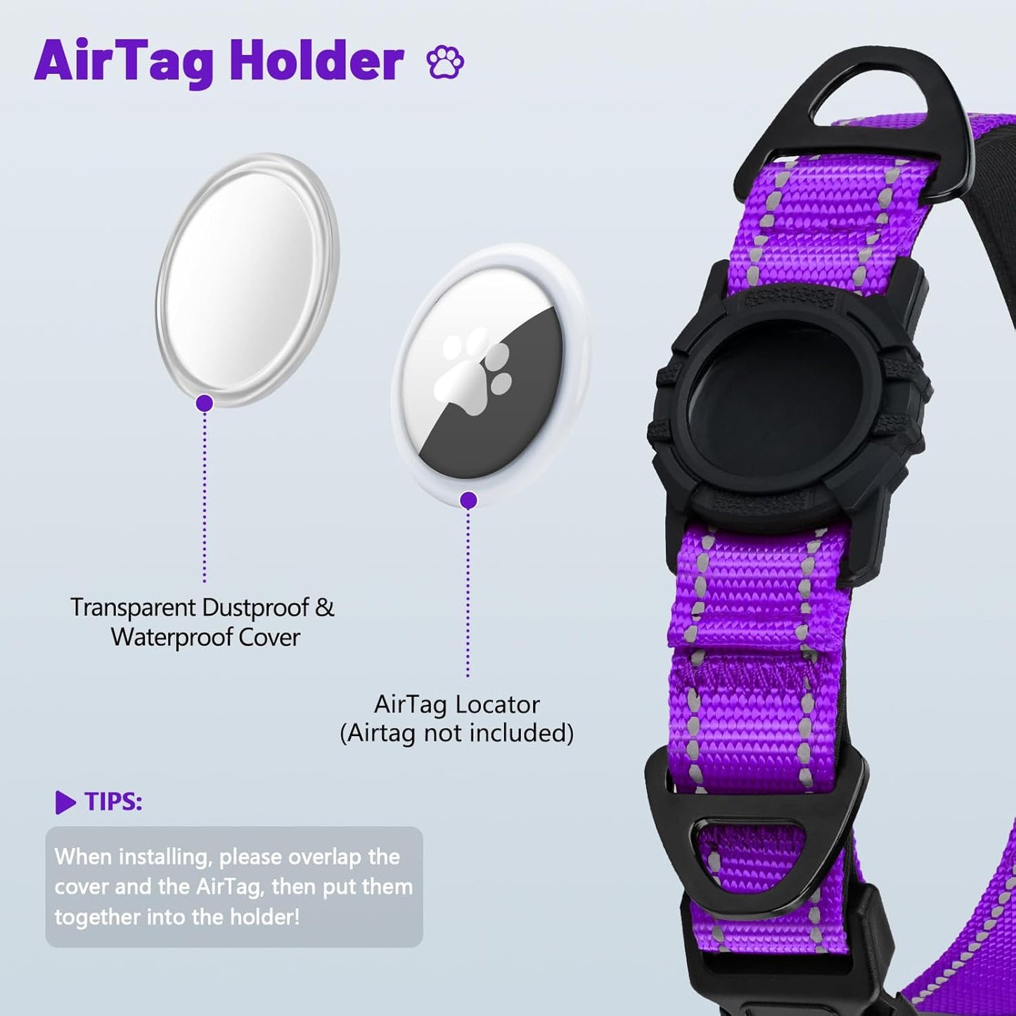 Taglory medium dog collar showing reflective stitching