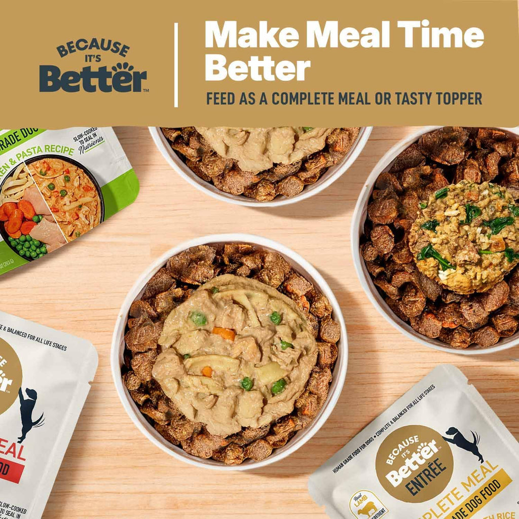Because Its Better complete meal six count box showcasing authentic imported USA pet food packaging