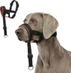 AoKayzu adjustable leather dog muzzle brown medium front view on dog snout