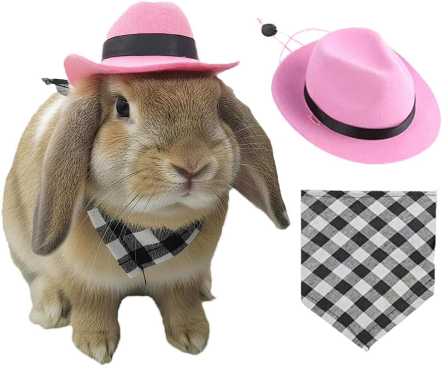 Imported USA pet photoshoot costume set for small animals