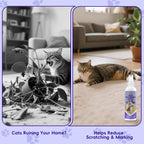 Ktsay natural cat repellent spray for indoor scratching control