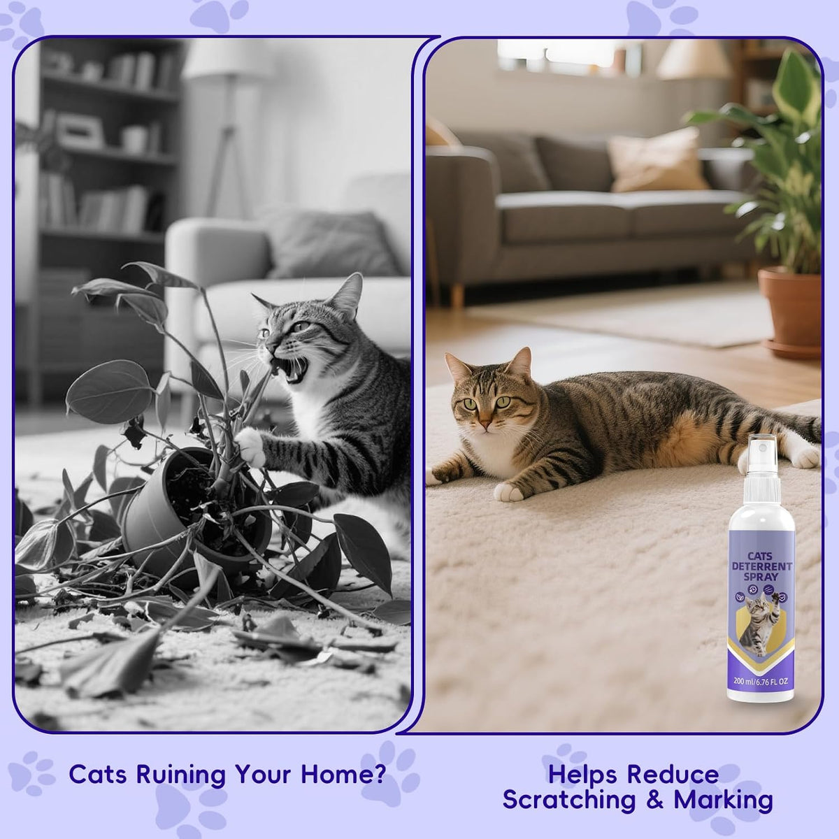 Ktsay natural cat repellent spray for indoor scratching control