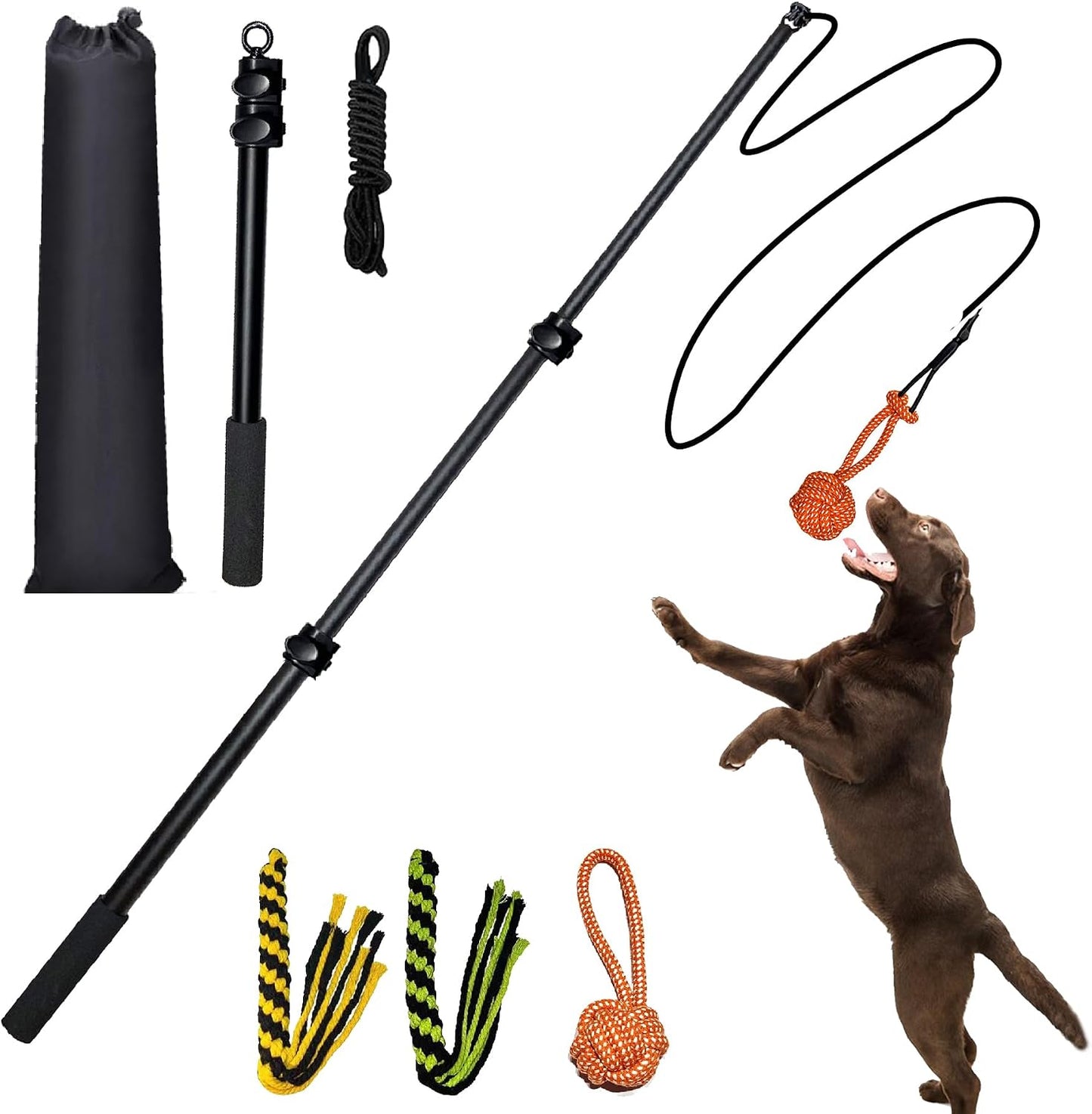 SailStart heavy duty dog flirt pole front view showing extended aluminum wand with rope lure attached