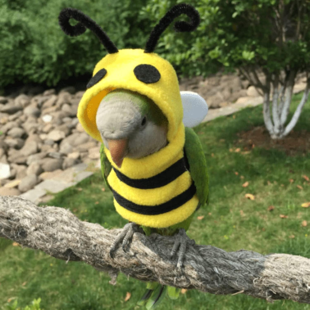 YANQIN bee bird costume strap closure