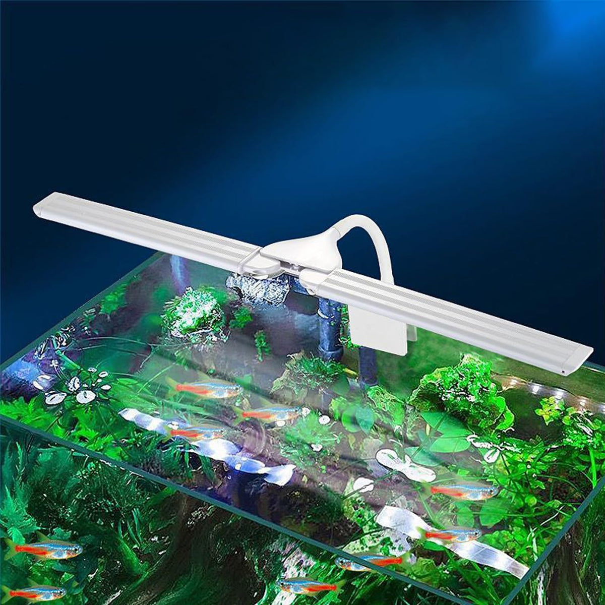Pueutu LED aquarium clip light front view on fish tank