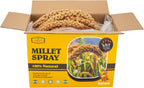 Close up view of natural golden millet grains on stalks