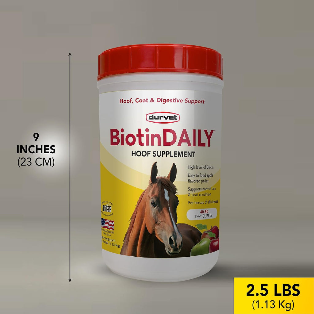 Durvet Biotin Daily horse hoof care supplement jar with scoop