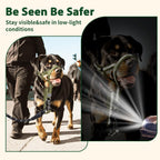 Barkless anti pull dog halter quick release buckle design demonstration