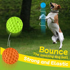 Large breed dog playing with havit rubber chew toy