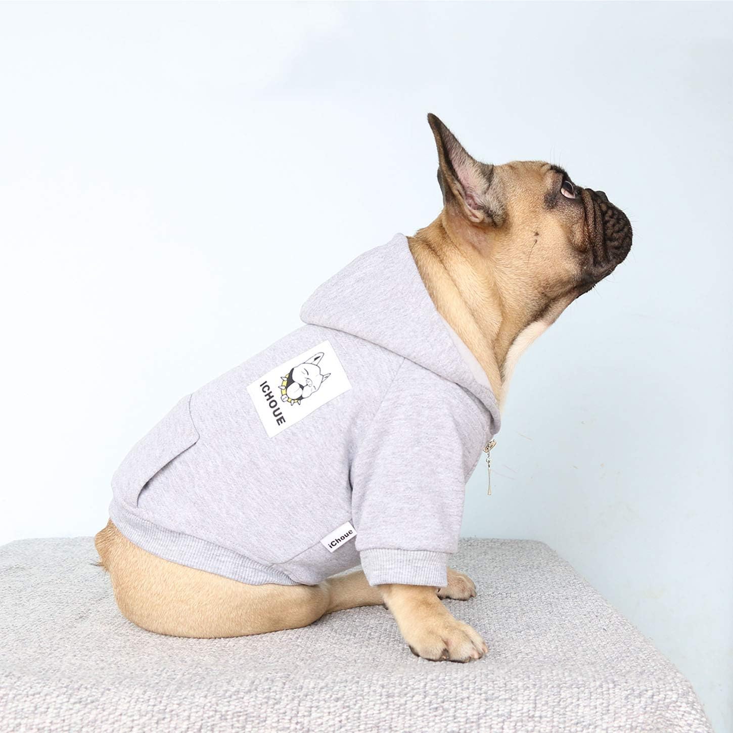 Comfortable cotton dog hoodie back view highlighting modern hood design.