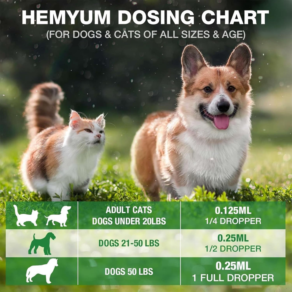 Omega three six nine dog calming treats substitute liquid