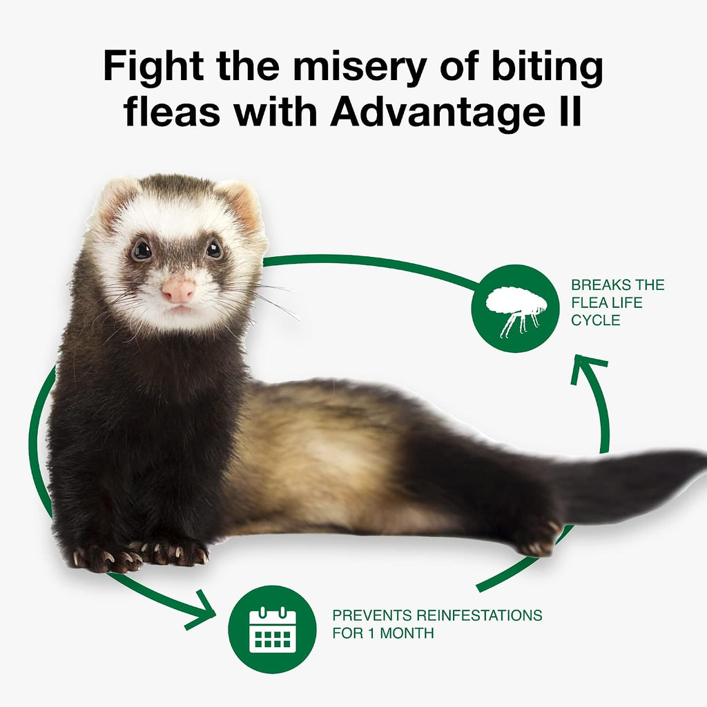 Waterproof flea protection for ferrets over one pound