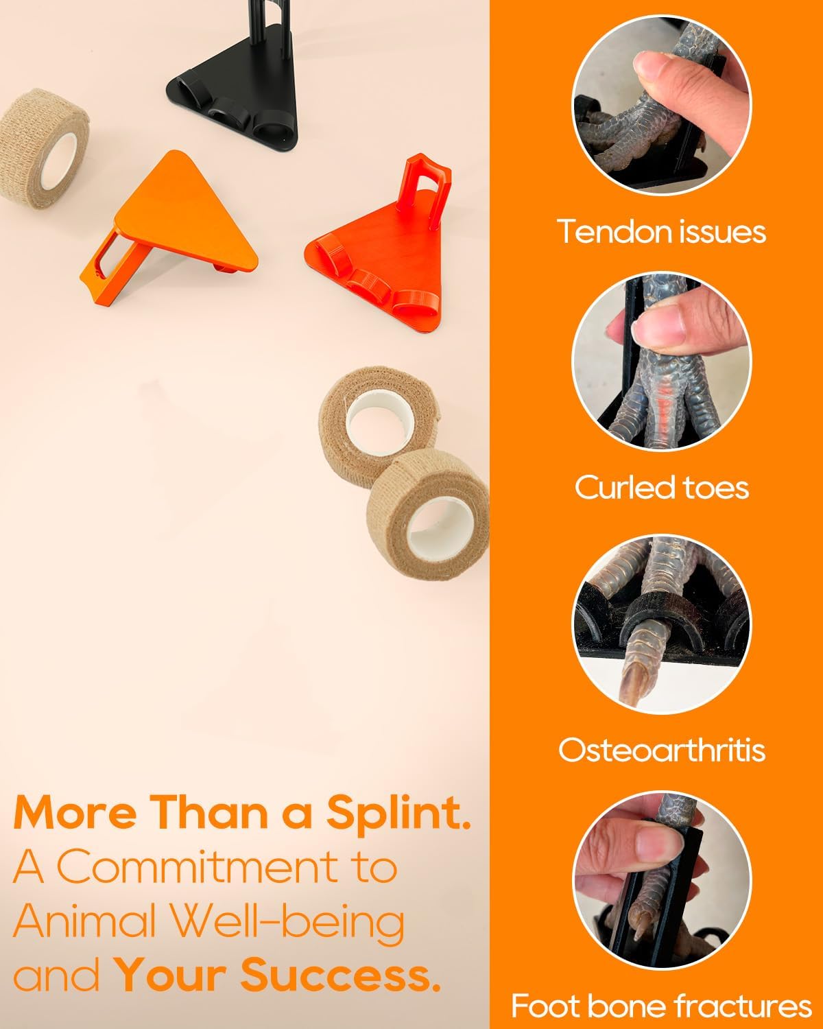 Multicolor chicken foot braces designed for splay leg correction