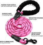 COOYOO large dog leash attached to a harness highlighting the heavy duty metal clasp.