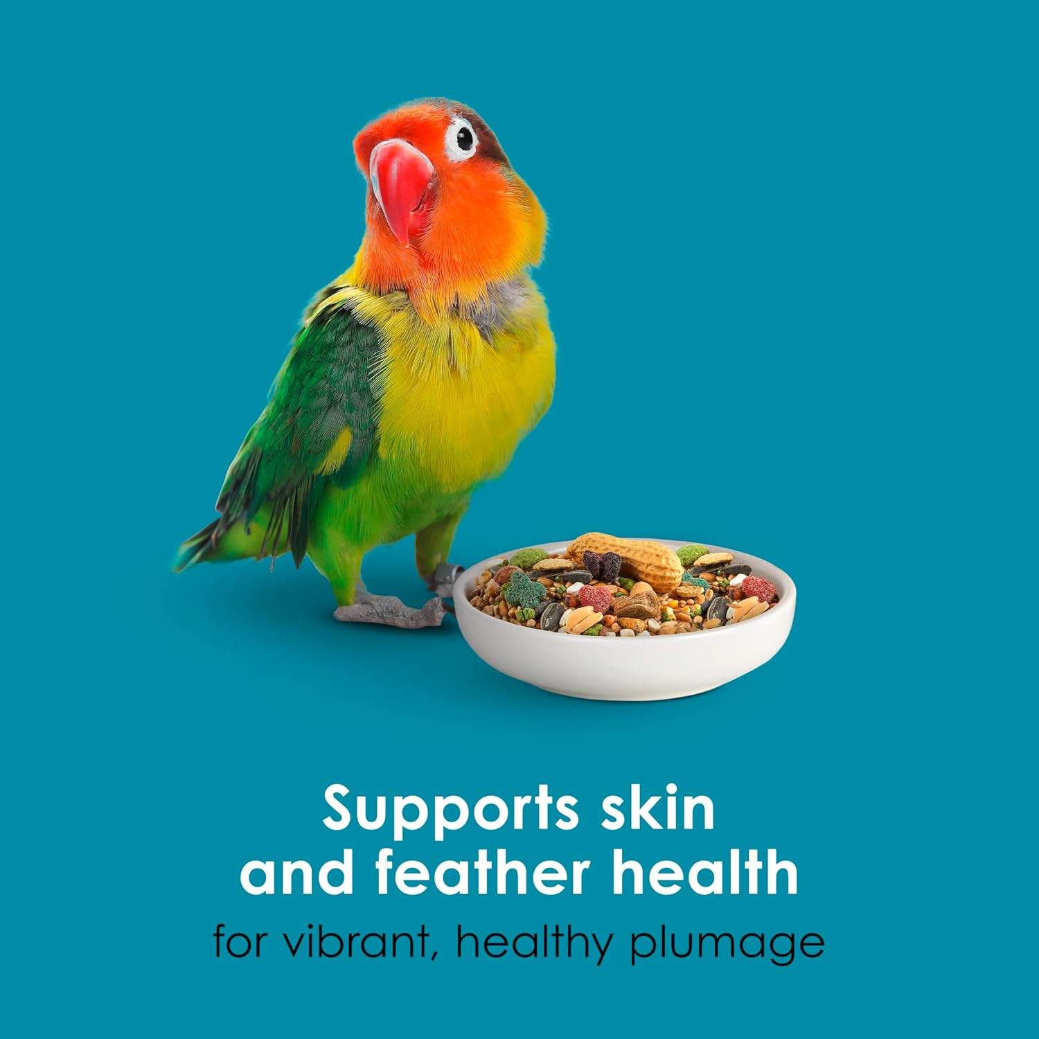 Detailed image of Kaytee bird food ingredients including flaxseed and blueberries.