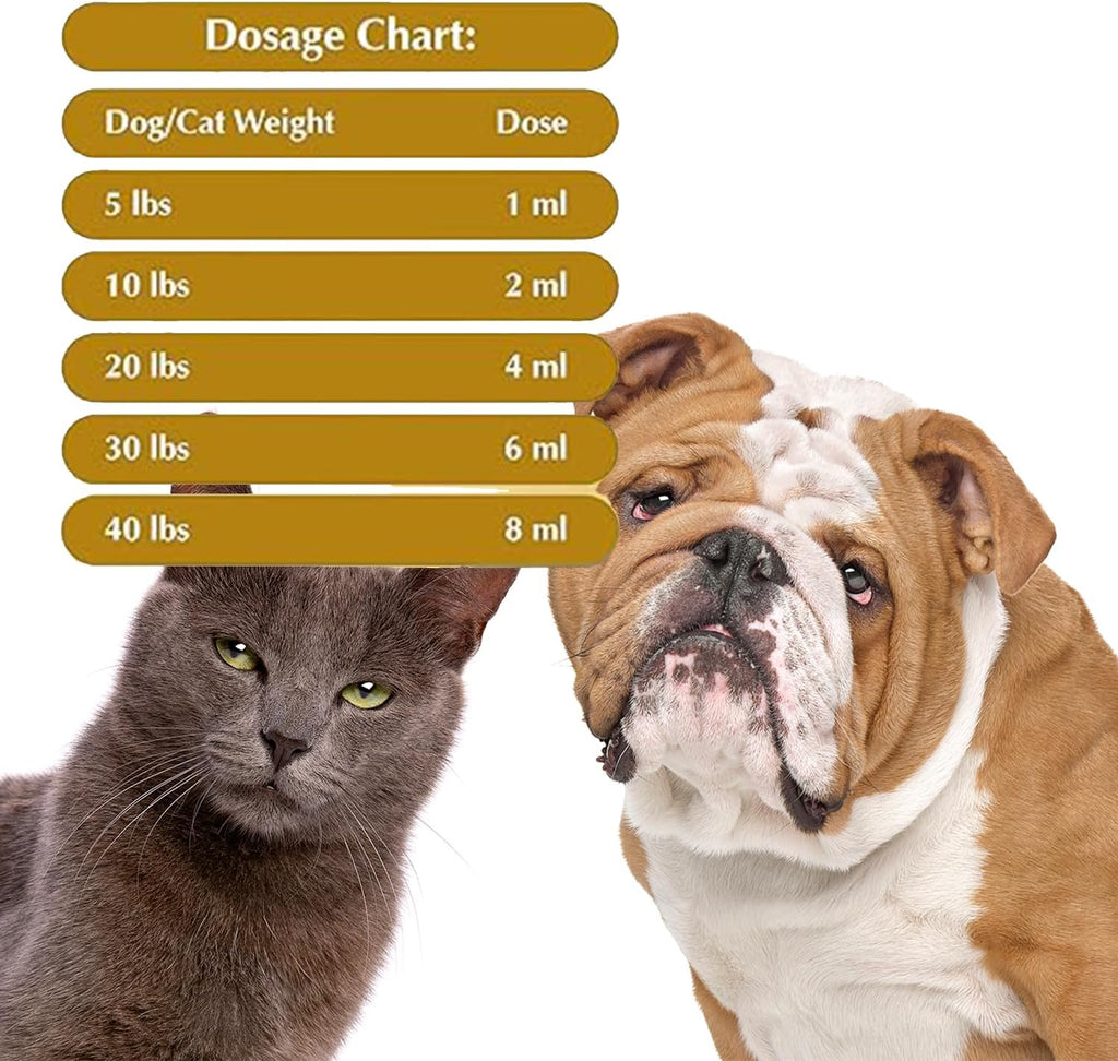 Premium broad spectrum pyrantel pamoate pet liquid dewormer packaging details.