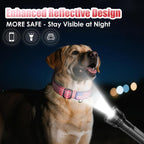 Side profile of reflective nylon dog collar on a dog