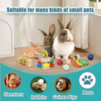 Natural wood small pet play accessories highlighting durable non-toxic colors