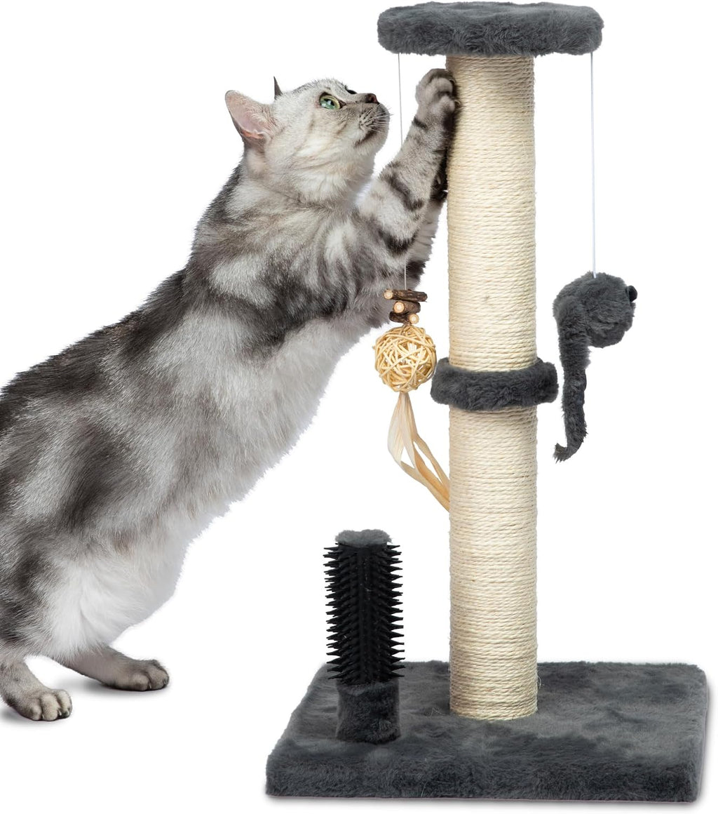 Catify Spin n' Scratch Cat Scratch Pad Refill - Round, 5-Pack - Image 12