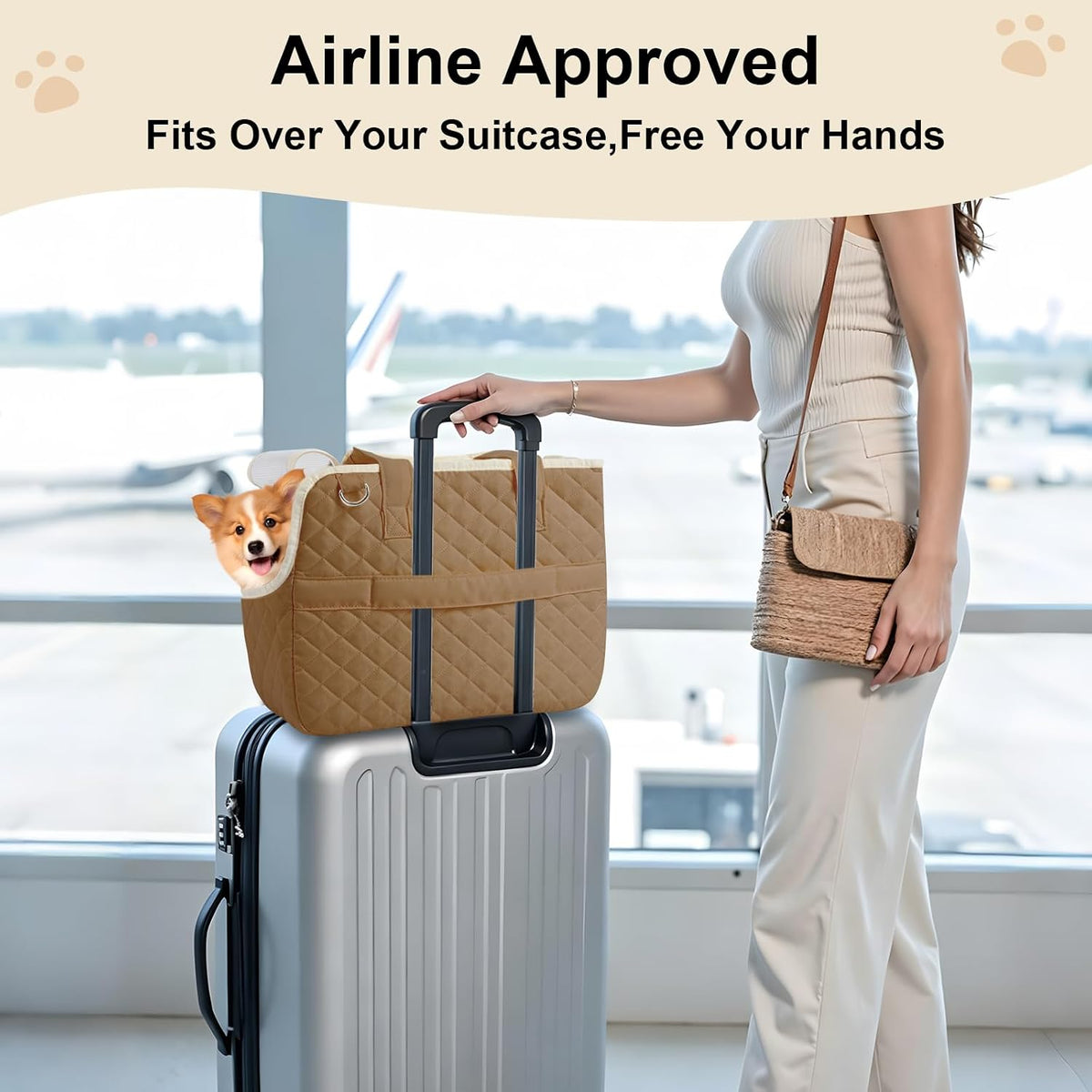Internal safety leash clip inside the pet carrier