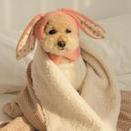 Soft cotton noise reduction ears for cats and dogs