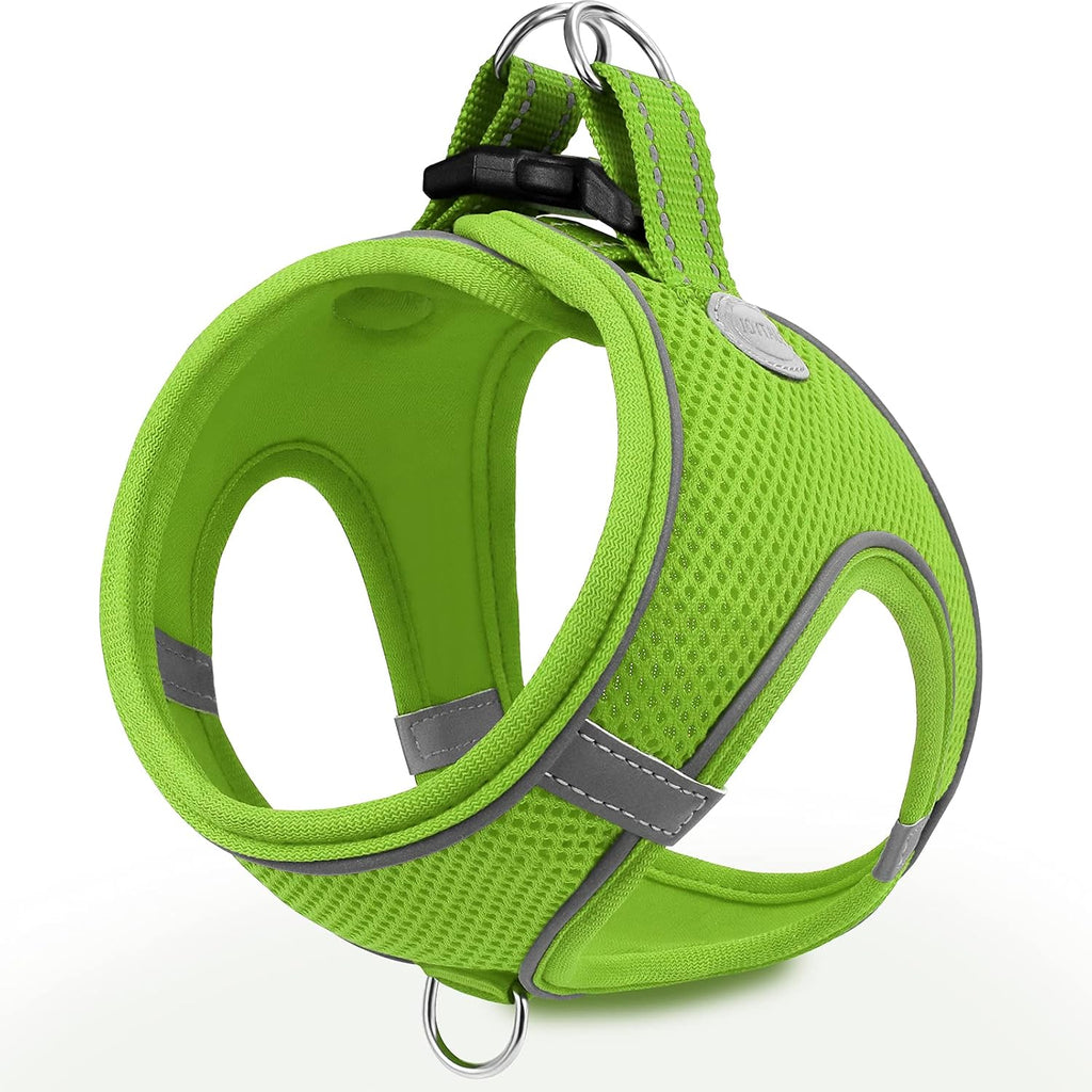 Joytale Small Dog Harness, Breathable Mesh Step-in Vest, Reflective Soft Padded Harnesses for Small and Medium Dogs, Black, M - Image 15