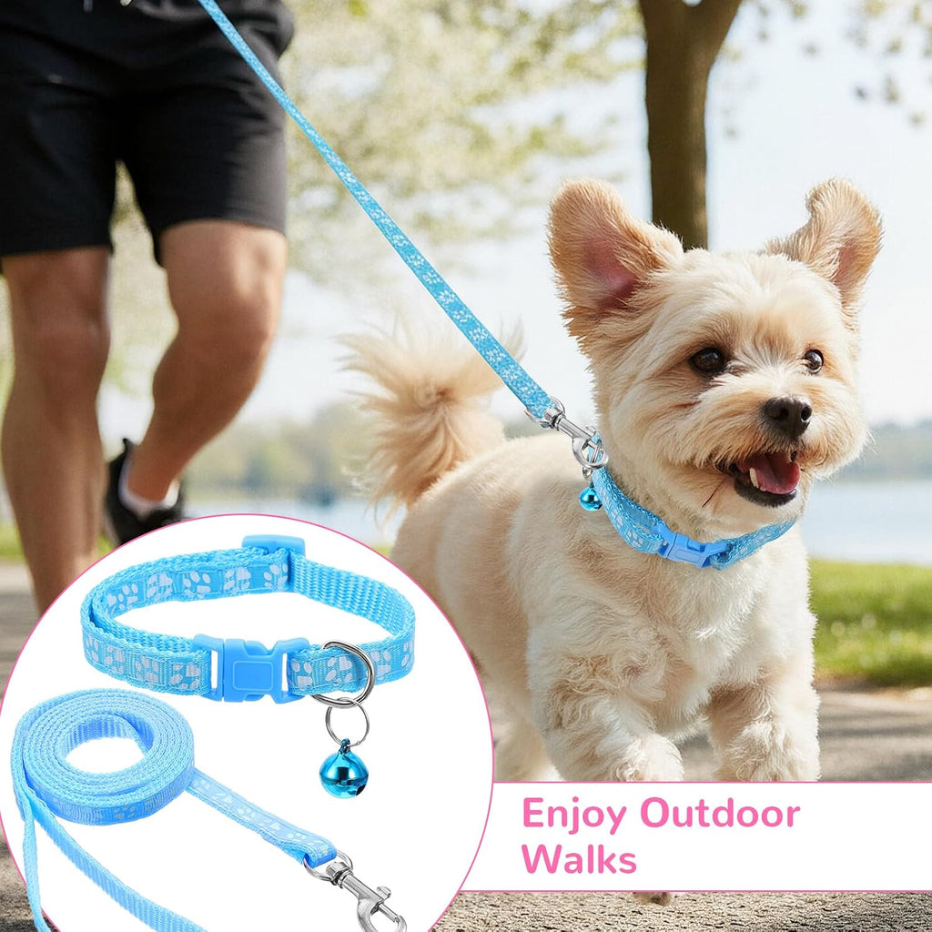 Lightweight polyester puppy leash and collar combination demonstrating the full forty seven inch length.