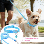 Lightweight polyester puppy leash and collar combination demonstrating the full forty seven inch length.