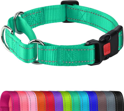Joytale Martingale Collar for Dogs, Reflective Escape Proof Training Dog Collars with Safety Lock Buckle, No Slip Soft Nylon for Medium Pets, Hotpink, M - Image 15