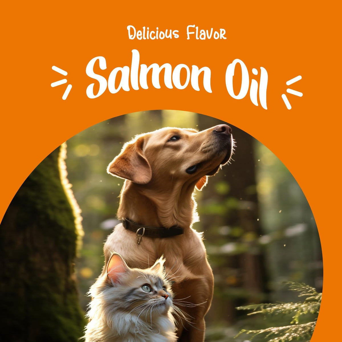 Domestic shorthair cat enjoying wet food mixed with Heapets Omega 3 skin and coat supplement.