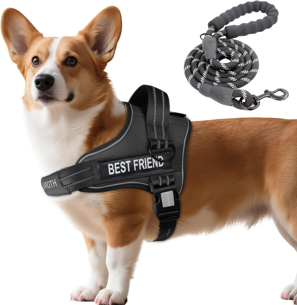 AUROTH Dog Harness and Leash Set, Soft Padded Service Dog Vest with 5.25FT Dog Leash, No Choke, Easy On Pet Vest, Adjustable Reflective No Pull Dog Harness for Large Dogs, Easy Walking and Training - Image 14