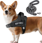 AUROTH Dog Harness and Leash Set, Soft Padded Service Dog Vest with 5.25FT Dog Leash, No Choke, Easy On Pet Vest, Adjustable Reflective No Pull Dog Harness for Large Dogs, Easy Walking and Training - Image 14