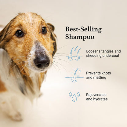 Professional groomer using IGroom deshedding shampoo on a dog