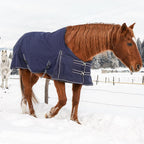 Adjustable elastic horse blanket strap for winter turnout