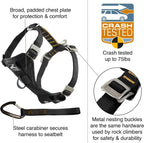Kurgo dog harness showing steel nesting buckles and padding