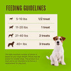 Two ingredient natural chicken jerky for dogs