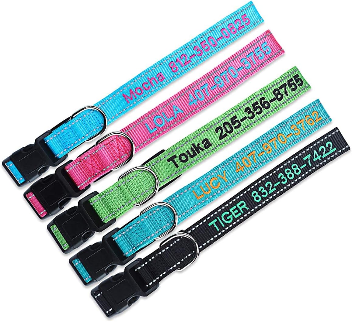 Dog wearing Suptmax personalized collar for safety identification