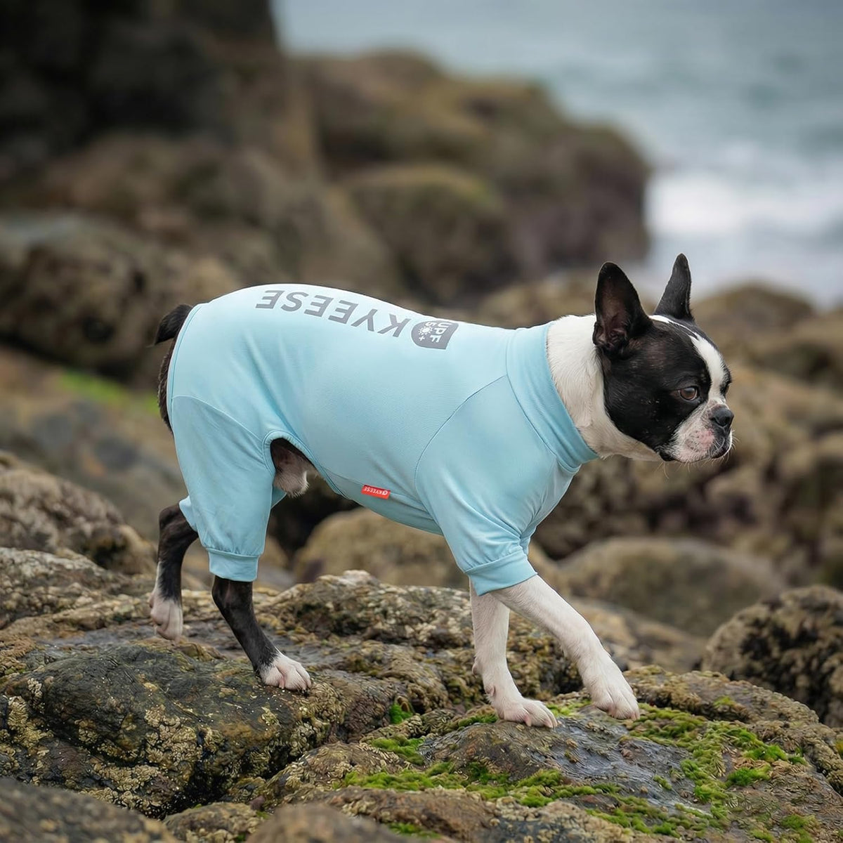 Back view of Kyeese dog jumpsuit showing full coverage