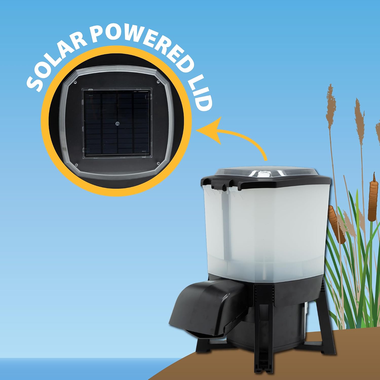 The Pond Guy automatic koi feeder installed on a pond dock for scheduled feeding.