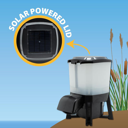 The Pond Guy automatic koi feeder installed on a pond dock for scheduled feeding.
