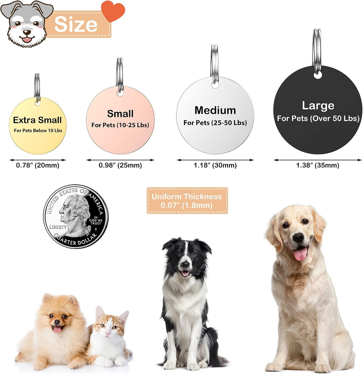 GISUERY custom double sided dog tag back view illustrating four lines of clear laser etched emergency contact details