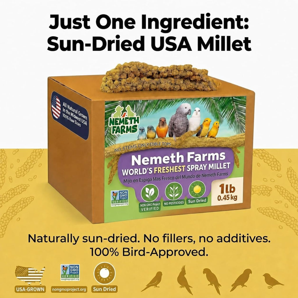 Nemeth Farms Spray Millet - Edible Tops Only, Non-GMO and Sun-Dried - 1 lb for Parakeets, Canaries and Finches - Image 6
