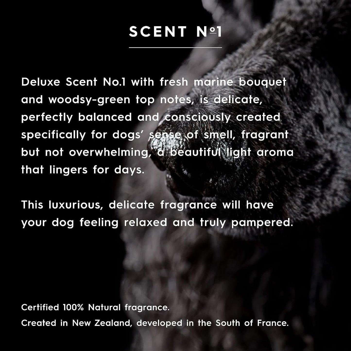 Scent Number One hydrating conditioner for sensitive pet skin